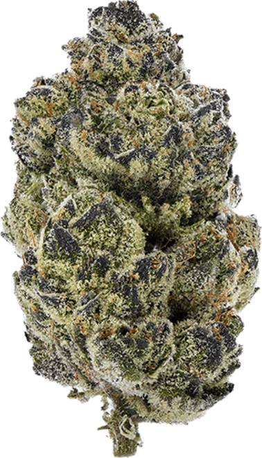 Double Fudge Cookies image 1